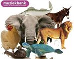 verschillende dieren