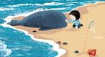 walvis