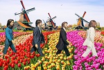de Beatles lopen door een tulpenveld